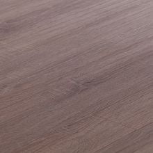 Дуб трюфель