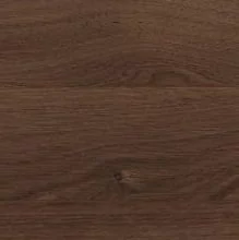 Дуб кальяри