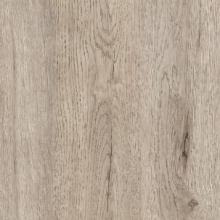 Дуб Бонифацио