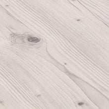 Северная сосна