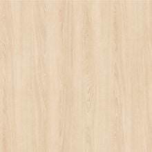 Дуб светлый