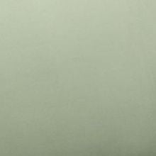 Светло-салатовый