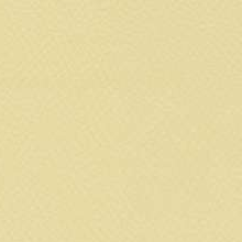 кож зам Бежевый