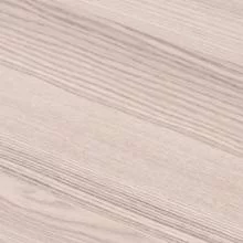 Дуб беленый