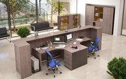 Ресепшен Dex от Skyland