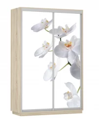 Шкаф-купе со стеклом Экспресс Дуо 1400х2200h Белая орхидея/Дуб сонома