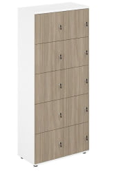 Локер 10 ячеек Сигма СГ.820.ВХ.ОД Белый Дуб темный / Sigma SG.820.WH.OD