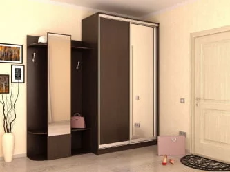 Двустворчатый гардеробный шкаф Хит-24-12-15 Аруба Венге