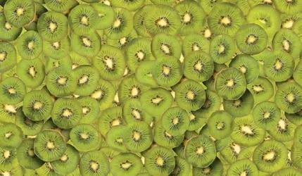 Раздвижной стол Универсальный фп Киви Е005 ЛДСП серый