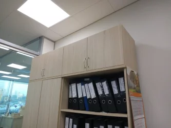 Настенный шкаф Twin 16.13.131 Туя