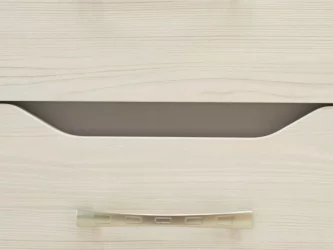 Детский шкаф для одежды Мегаполис 55.22.1