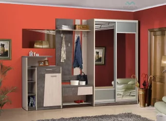 Прихожая Визит-14 (вар. №1)