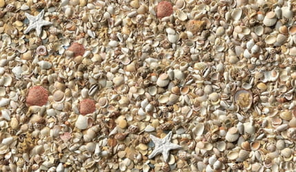 Обеденный стол Прямоугольный 900 600 фп Ракушки С002 ЛДСП серый