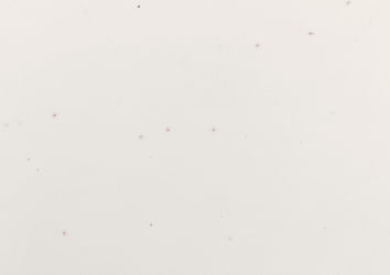 Мойка врезная М16 белая