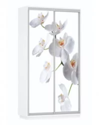 Шкаф-купе двухдверный Экспресс Дуо 1200х2400h Орхидея белая/Белый снег