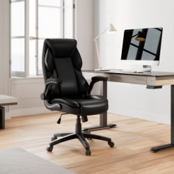 Эргономичное компьютерное кресло Eureka OC11-B, черное