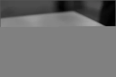 Шкаф купе 2-ух дверный Хит-23-12-77 Орхидея Ясень шимо светлый