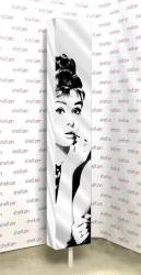 Шкаф в гостиную Зум Шелф Арт Венге