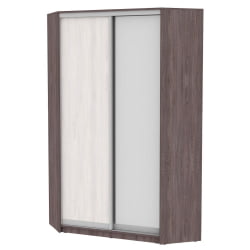 Шкаф-купе YA-230х1250-2(ЯАТ-ЯАС-D6D5)