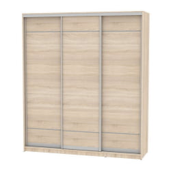 Шкаф-купе Б-230х200х60-3(ДСС-Д7Д7Д7) / B-230х200х60-3(ДСС-D7D7D7)