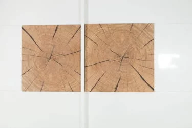 Шкаф трехстворчатый с декоративными накладками Фиджи 002 Дуб Золотой Белый