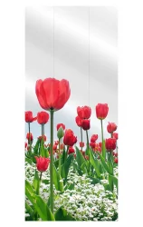 Распашной шкаф в гостиную Хоп Шелф Арт Беленый дуб