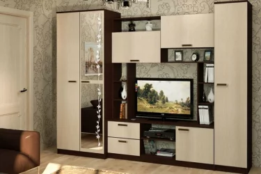 Гостиная Флора Ясень Шимо тёмный светлый