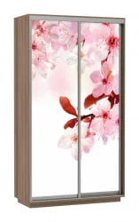 Шкаф-купе двухдверный Экспресс Дуо 1200х2400х Сакура/Ясень шимо тёмный / 1200х2400h