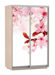 Шкаф-купе со стеклом Экспресс Дуо 1400х2200h Сакура/Дуб молочный