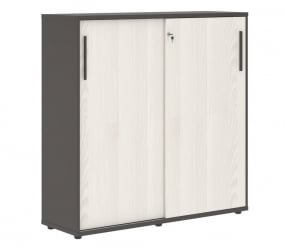 Шкаф с дверьми-купе EDIS EMC 1343 Ясень Траун Мокко Мокко