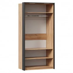 Шкаф двухстворчатый с паспарту Техно 03 Дуб Золотой