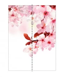 Шкаф-купе со стеклом Экспресс Хит Сакура/Венге