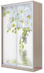 Шкаф купе 2-ух дверный Хит-24-14-77 Орхидея Ясень шимо светлый