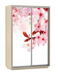 Шкаф-купе двухдверный Экспресс Дуо 1600х2400х Сакура/Ясень шимо светлый / 1600х2400h