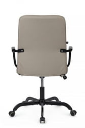 Кресло Ray RCH Низкая спинка RPM-28 Бежевый
