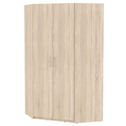 Шкаф распашный YR-230х1246(ДСС-5)