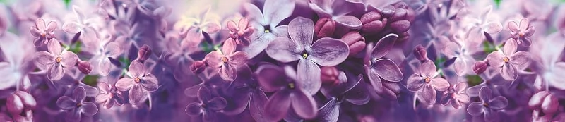 Глянцевый фартук (КОМПОЗИТ) KM 244