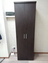 Шкаф для одежды Цезарь 21.11