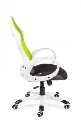 Кресло офисное Тесла CX0398H01 White green