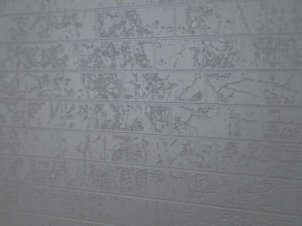 Детский шкаф для одежды Аляска 501.28