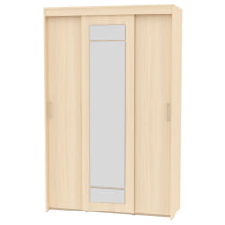 Шкаф-купе T-3-230х145х60-M(ДМ-11)