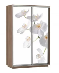 Шкаф-купе двухдверный Экспресс Дуо 1600х2400h Белая орхидея/Ясень шимо тёмный