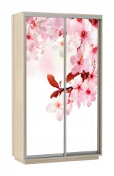 Шкаф-купе двухдверный Экспресс Хит Сакура/Шимо светлый