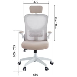 Кресло руководителя CHAIRMAN CH633 Бежевый