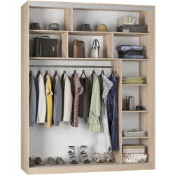 Шкаф-купе B-230х180х60-1(ДМ-D9D10D9)