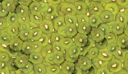 Большой обеденный стол Европейский фп Киви Е005 ЛДСП серый