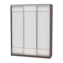 Шкаф-купе B-220х180х60-2(ЯАТ-ЯАС-D8D8D8)