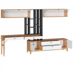 Тумба ТВ комбинированная Бари ЛД 698.070.000 Дуб Золотой Оникс серый Белый