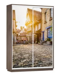 Шкаф-купе со стеклом Экспресс Дуо 1600х2200h Улица/Венге