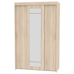 Шкаф-купе Т-3-230х145х60-М(ДСС-9) / T-3-230х145х60-M(ДСС-9)